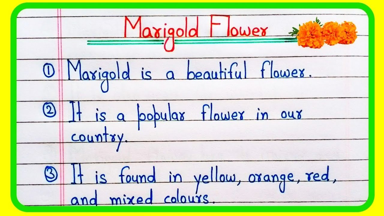 10 lines essay on Marigold flower |  Marigold flower essay in English | Marigold flower