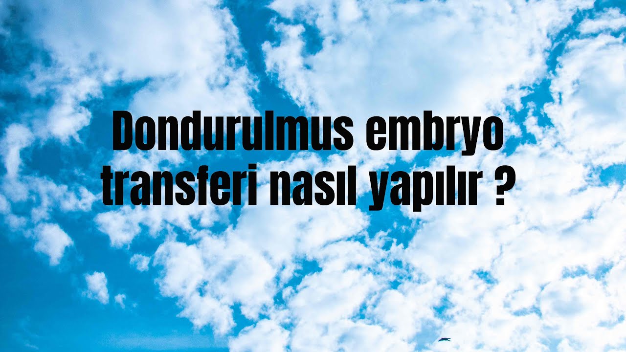 Dondurulmus embryo transferi nasıl yapılır ?