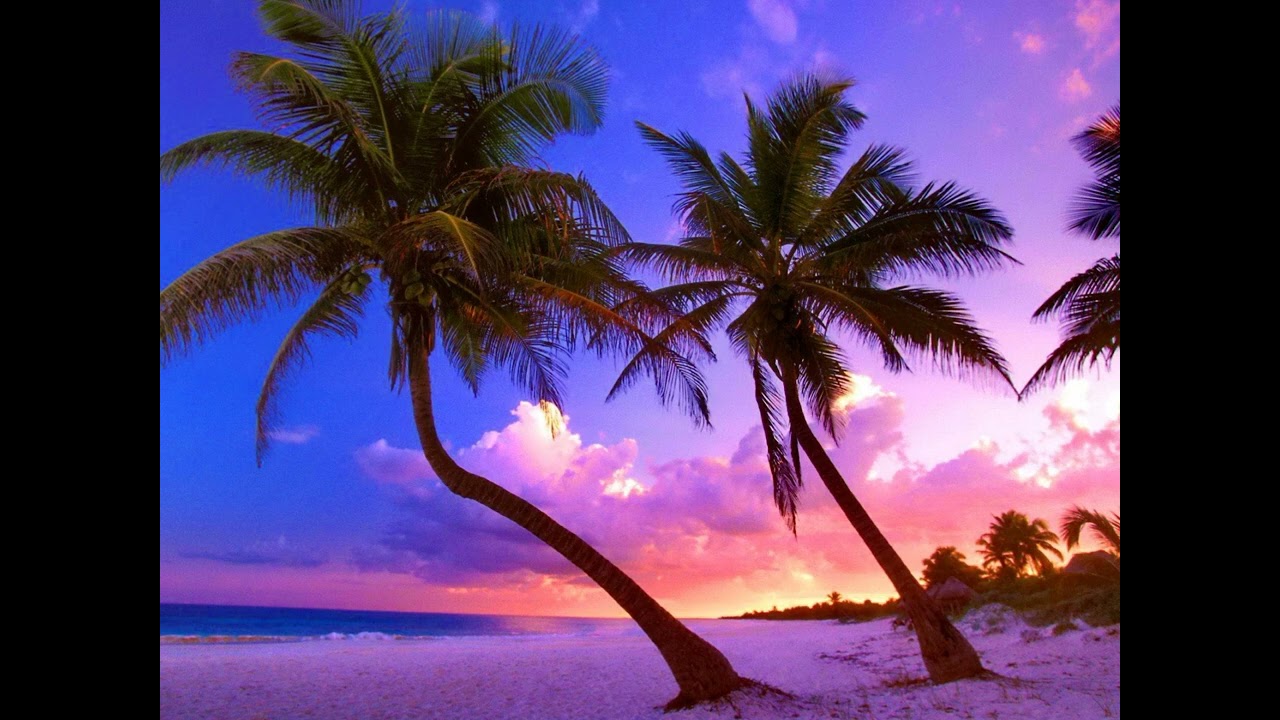 Les Lanmizik Zwe SEYCHELLES