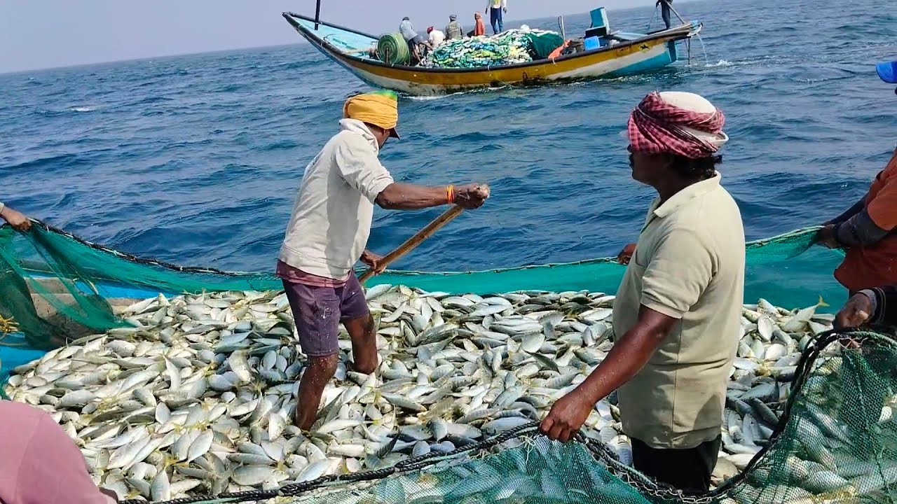 టోపీ చేపలు మా వాలలో ఇన్ని పడతాయ్ అనికోలేదు#fishing videos#fishing#fish#naveen#GT fish#baruva beach🌊