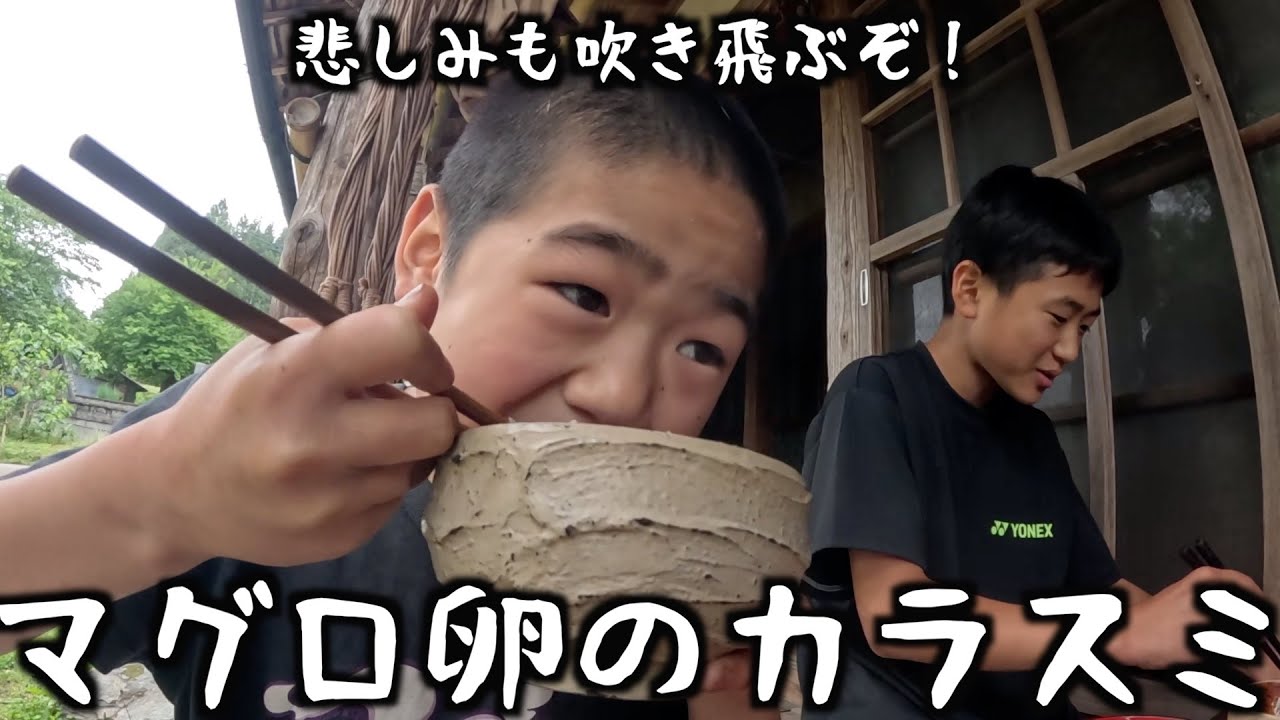 マグロ卵のカラスミ作った日#317【悲しみも吹き飛ぶぞ！】