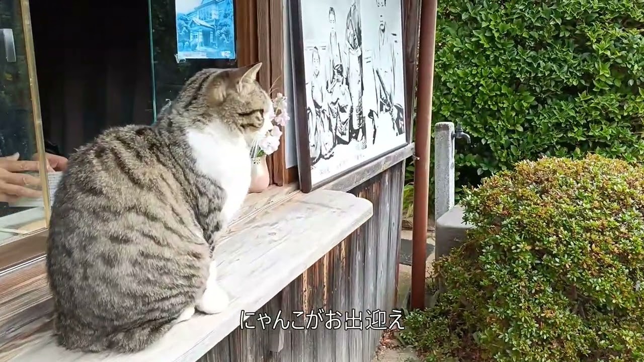 【萩・城下町散策】維新の志士が育った町を歩く。伊藤博文・高杉晋作の生家から萩城跡へ