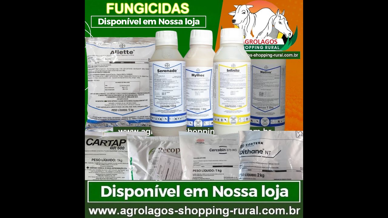 MELHORES FUNGICIDAS PARA SUA LAVOURA PLANTA&Ccedil;&Atilde;O