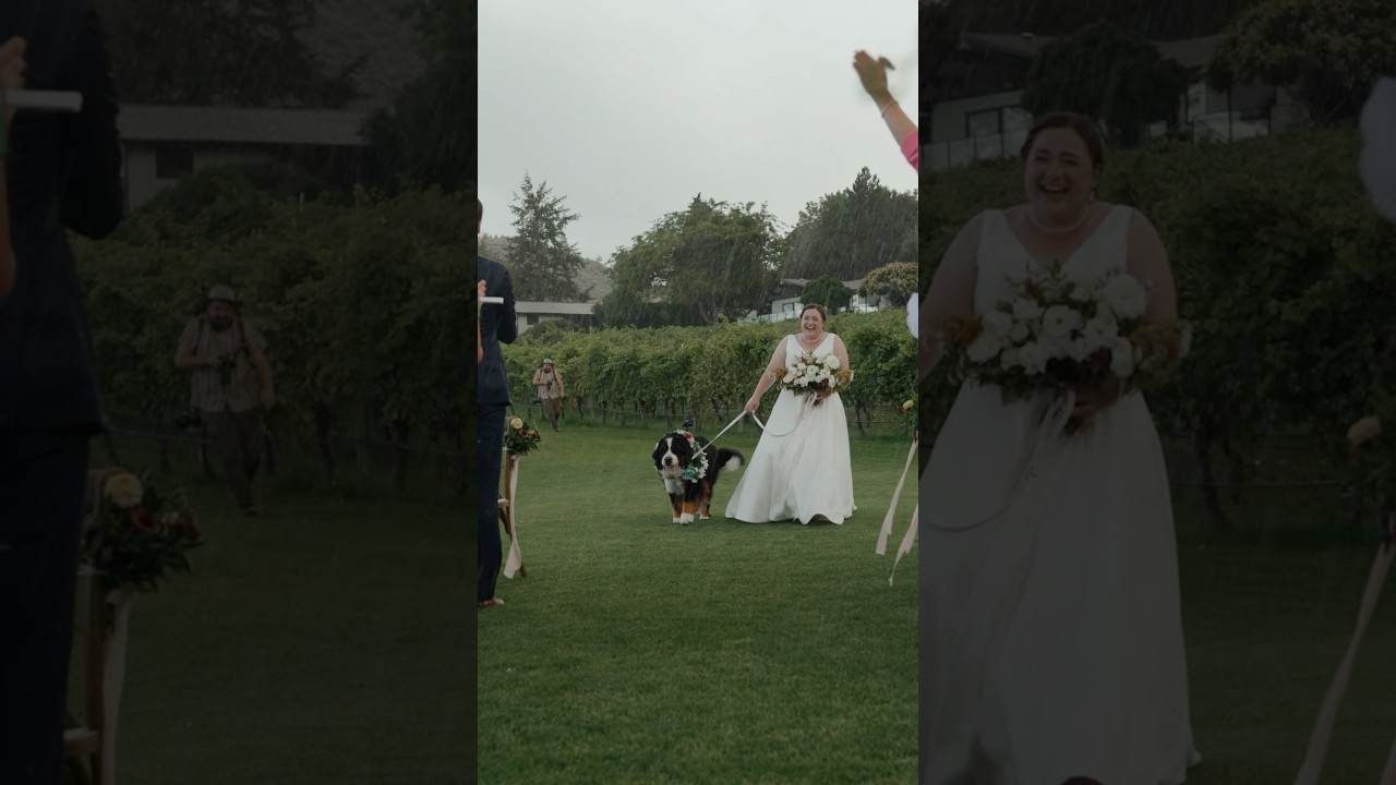 When your wedding gets rain #weddingvideo #weddingmoments #rainywedding