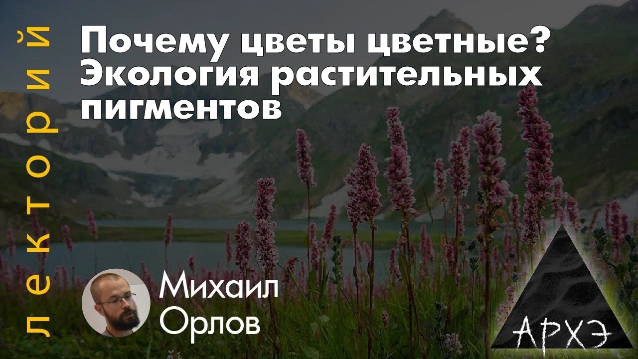 Почему цветы цветные? Экология растительных пигментов | Михаил Орлов