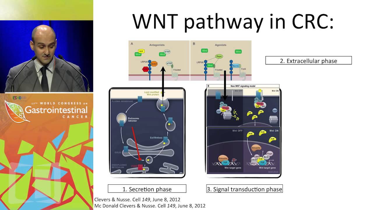 Understanding the molecular heterogeneity of CRC cancer and its clinical implications