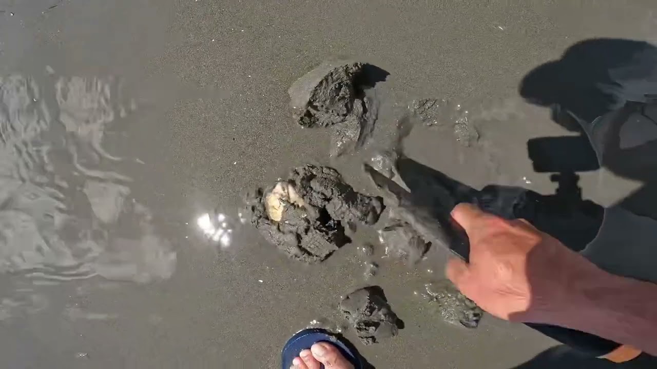 Easy way how to find pipis