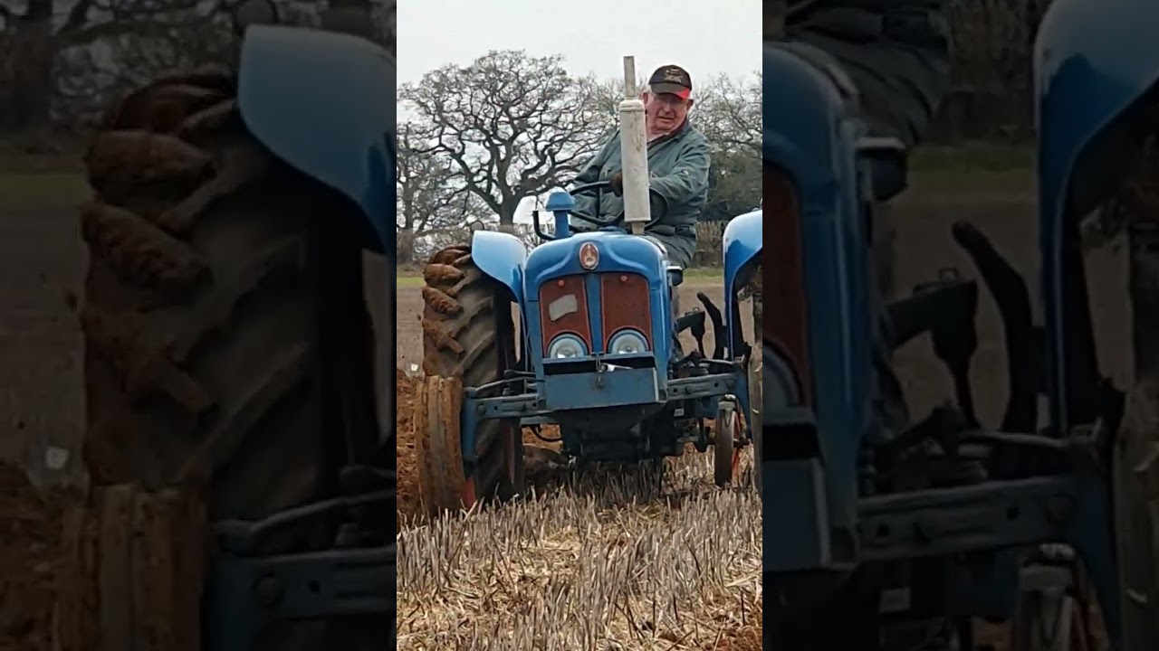 Fordson Dexta at BDVPS Ploughing at Witney 12th  February 2023