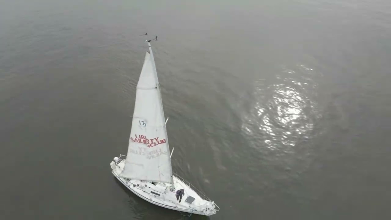 Many ships of the Delaware River