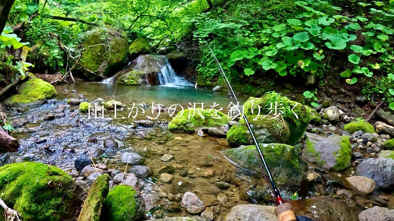 小さな沢の奥の奥まで釣りあがる。