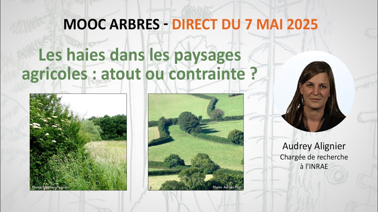 Les haies dans les paysages agricoles : atout ou contrainte ? / Audrey Alignier