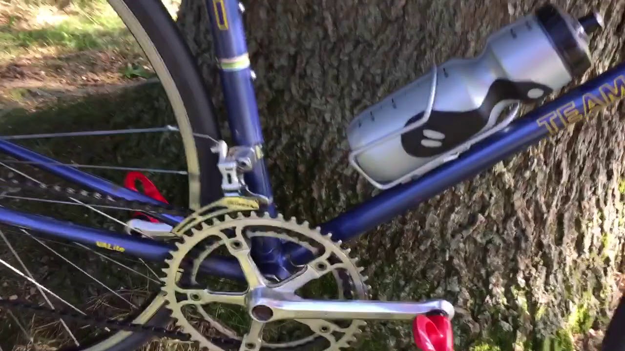 Fuji Team Road Bike: Classic 1980's Rehab