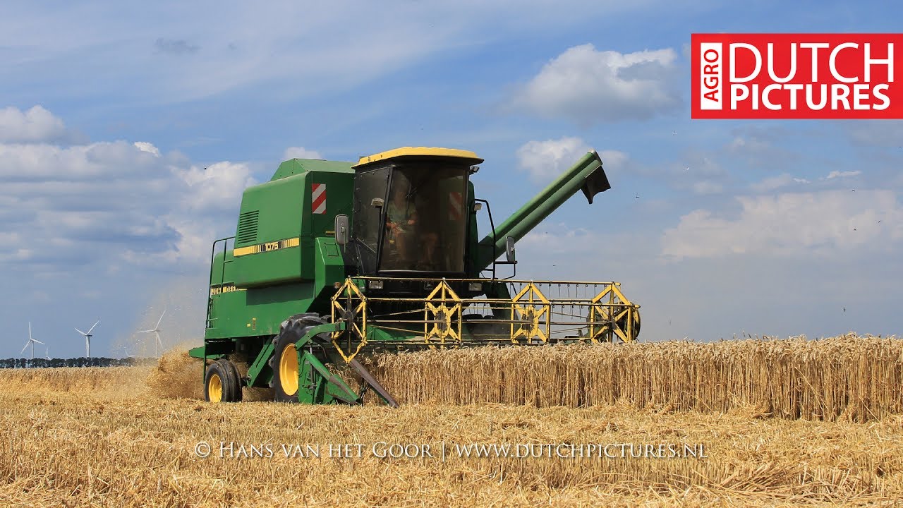 Wheat harvest with a John Deere 1075 combine | tarwe | Getreide | Berghuis, Biddinghuizen | 2017