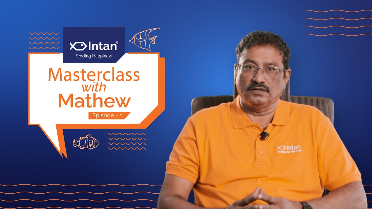 Masterclass with Mathew | Episode 1 | Benefits of Fishkeeping
