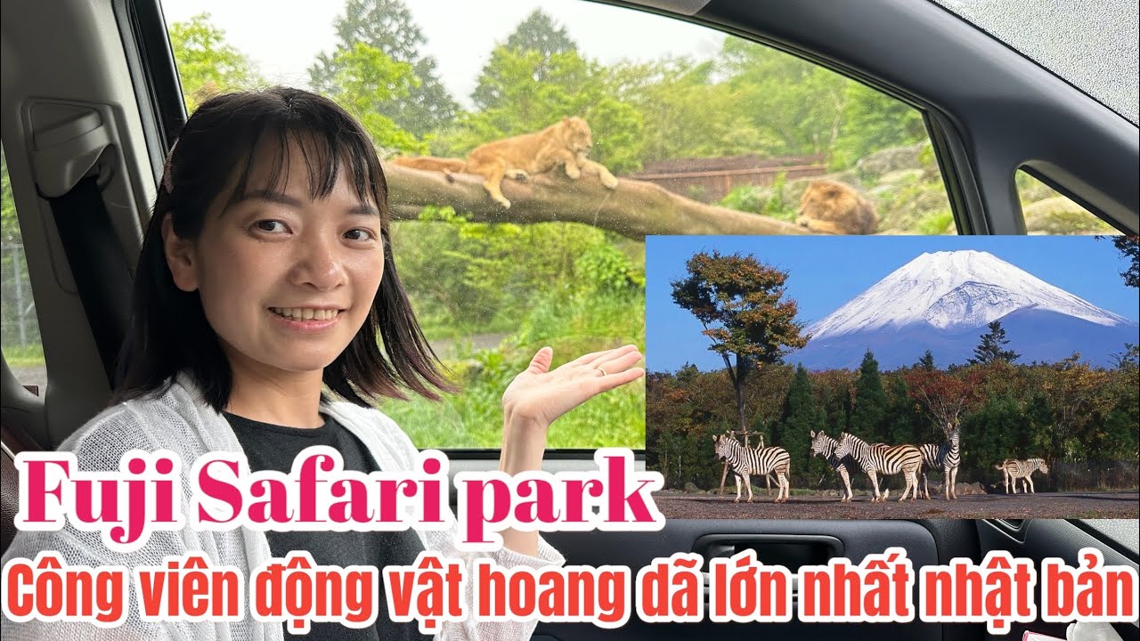 Khám phá  Fuji safari park - công viên động vật hoang dã lớn nhất nhật bản