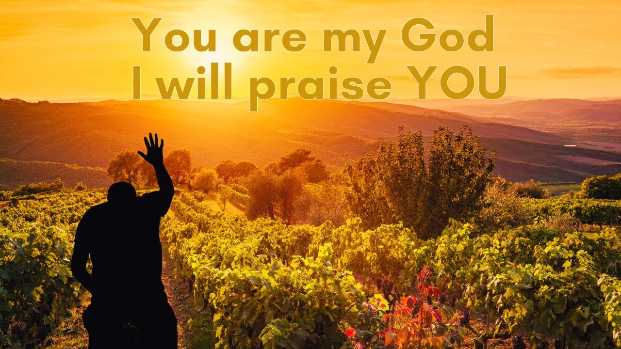 Psalm 118 | Part 2 | Blessed be he, that comes in the name of the Lord