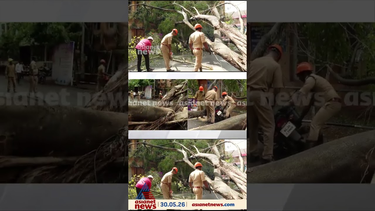 തിരുവനന്തപുരം പ്രസ് ക്ലബ്ബിന് മുമ്പിൽ മരം കടപുഴകി വീണു #thiruvananthapuram #rain #tree #asianetnews