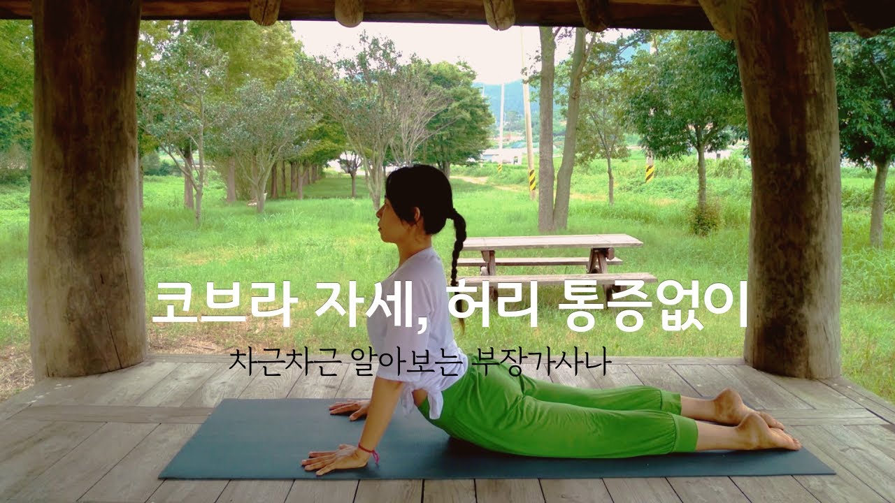 허리통증 없는 코브라 자세 연습🐍_초보를 위한 부장가사나 차근차근 배우기