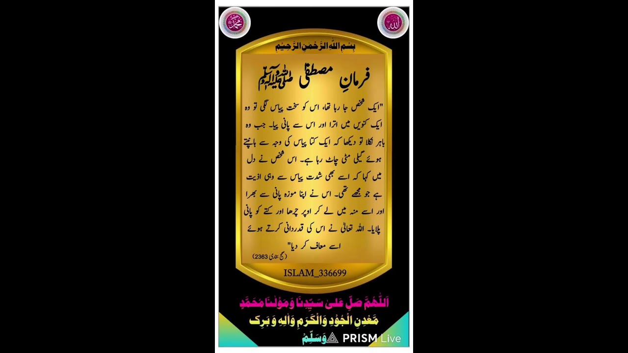 Live streaming of Muhammad mujtaba official