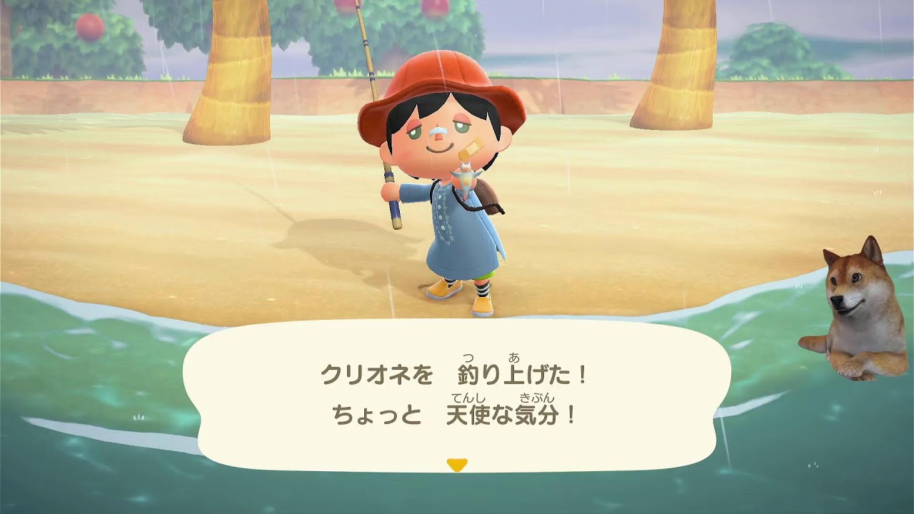 【あつ森】おはざす！！眠気の4日目。