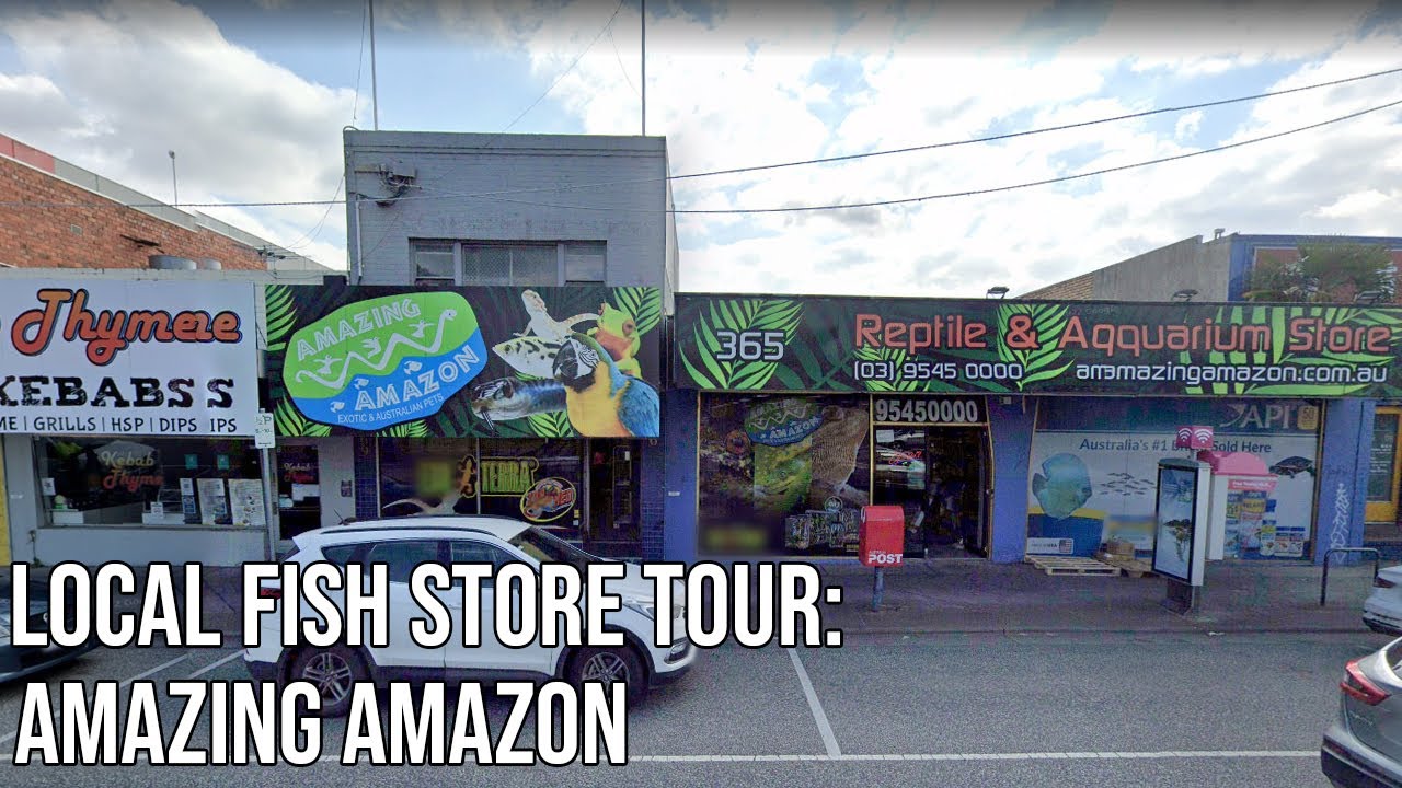 Visit To Amazing Amazon: Aquarium and Reptile Store (Australia Melbourne)