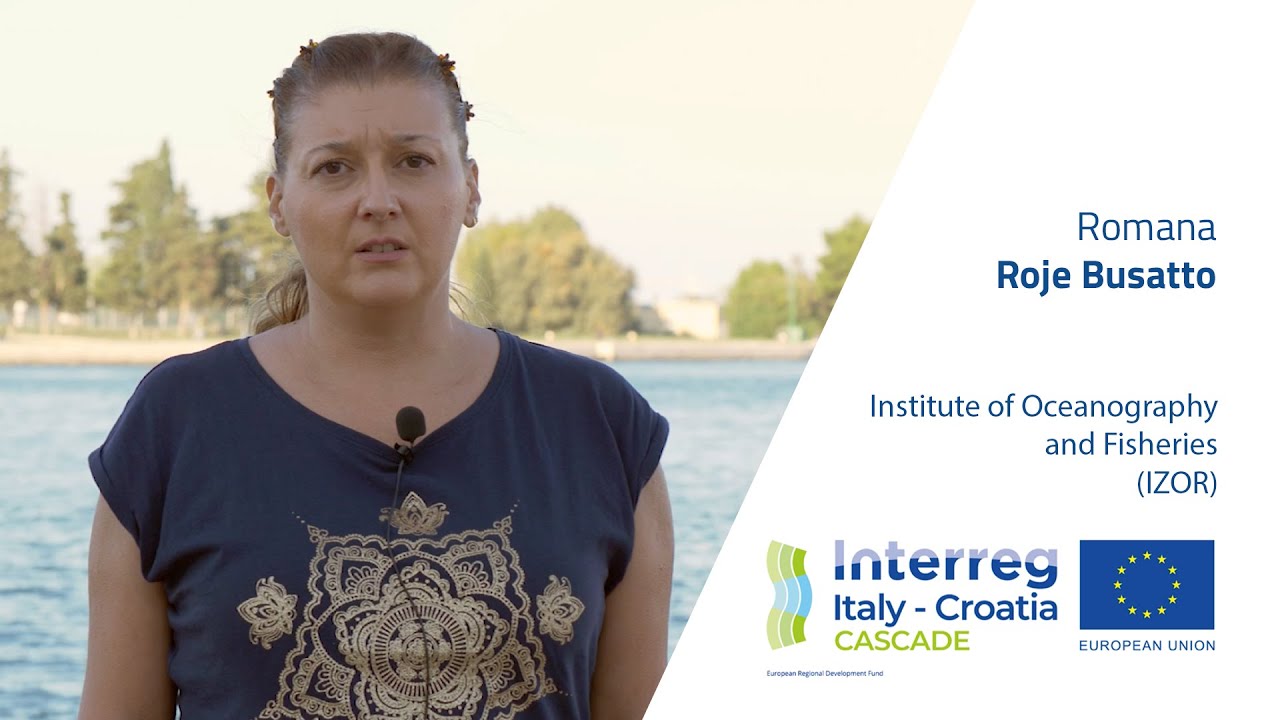 Monitoring of marine biotoxins in shellfish for human consumption | Romana Roje Busatto