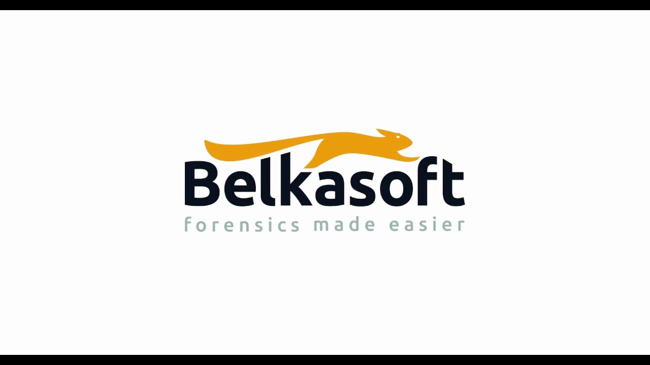 Belkasoft Evidence Center: параметры анализа