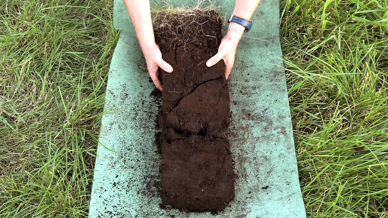 4. Field Methods II: The Soil Monolith