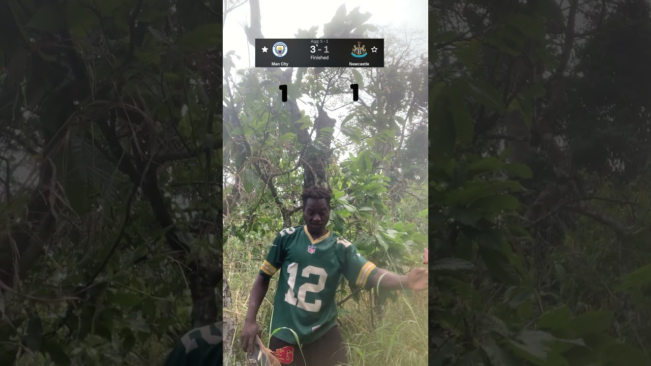 Mancity vs Newcastle match highlights 