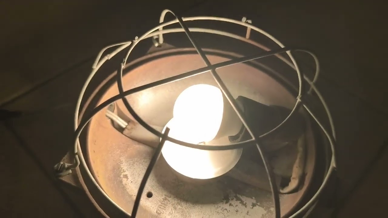 Lampa želva donate od kamaráta Emo projekty