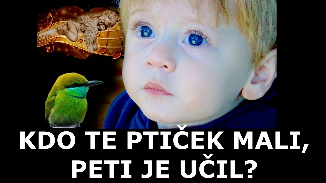 Kdo te ptiček mali peti je učil