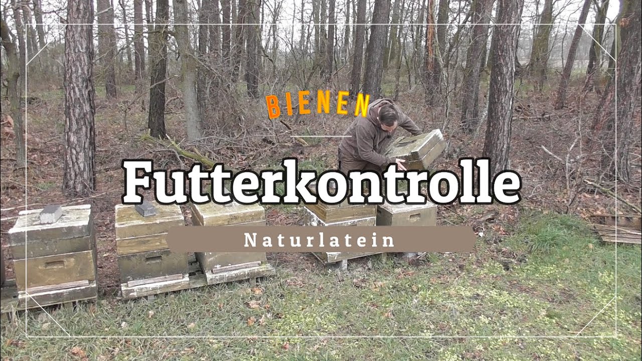 Futterkontrolle bei den Bienen im Februar!
