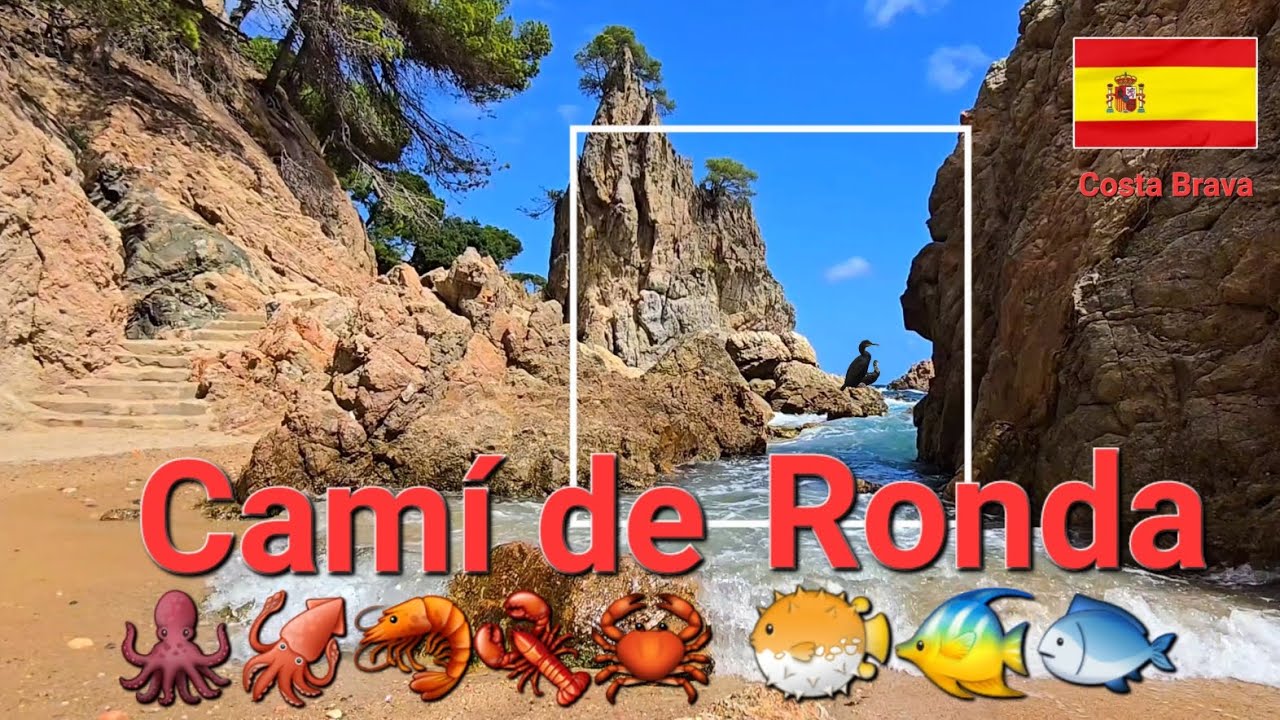 Cami de Ronda Costa Brava 🇪🇦 📽4K 🌞 🏖 🏝