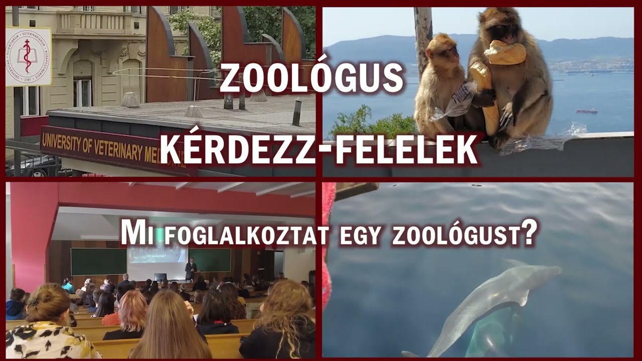 Kutató zoológus képzés - Mi foglalkoztat egy zoológust?