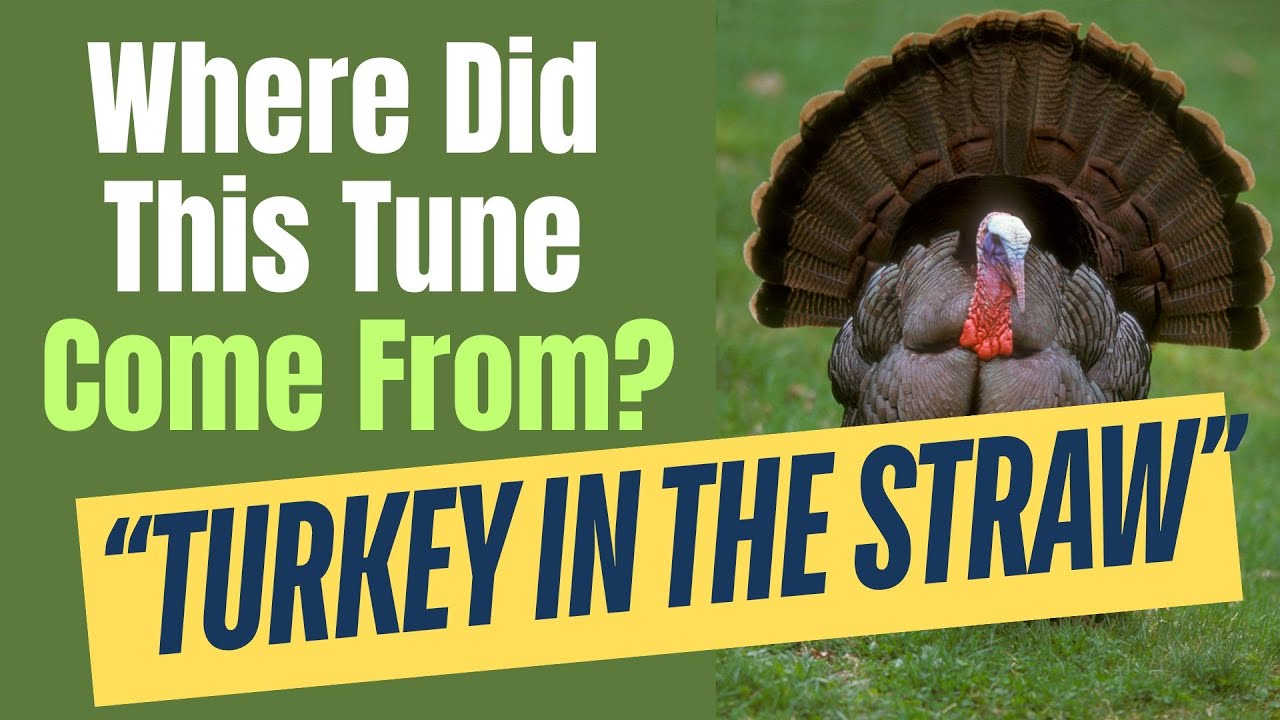 Hidden History of “Turkey in the Straw” | Old-Time Fiddle Tune Origins Explained