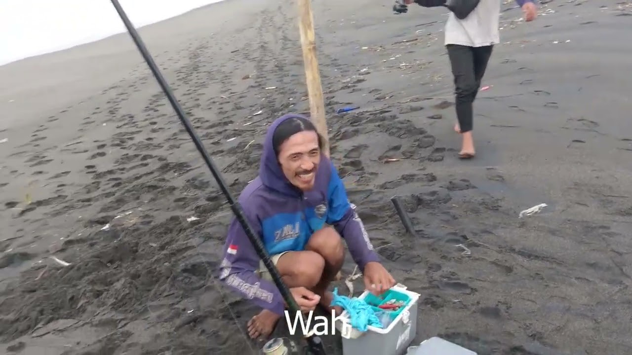 Panen ikan bojor yang melimpah ruah