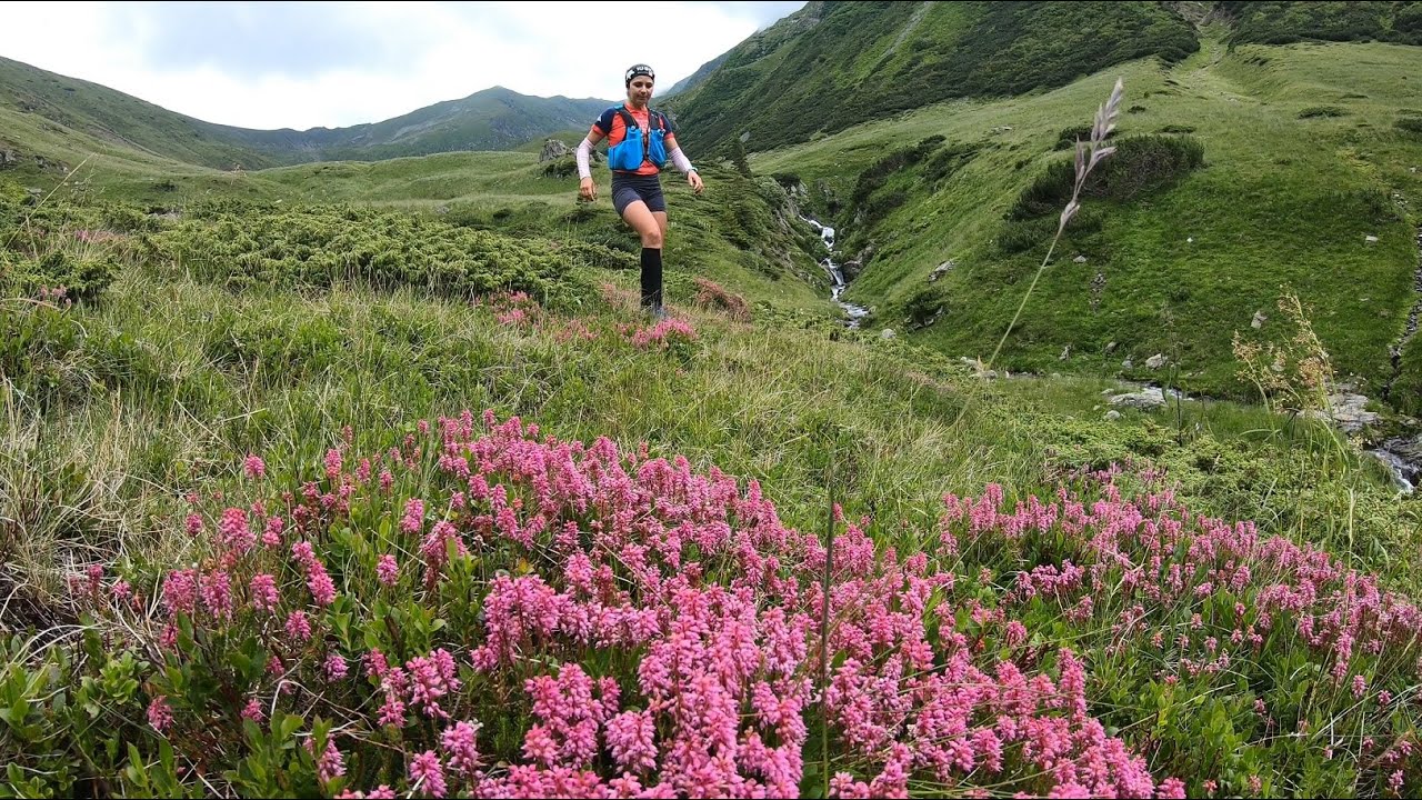 4x2500 Făgăraș Est