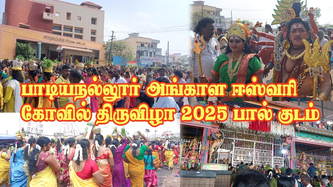 பாடியநல்லூர் அங்காள ஈஸ்வரி கோவில் திருவிழா 2025 பால் குடம் | Padiyanallur Kovil Thiruvizha 2025