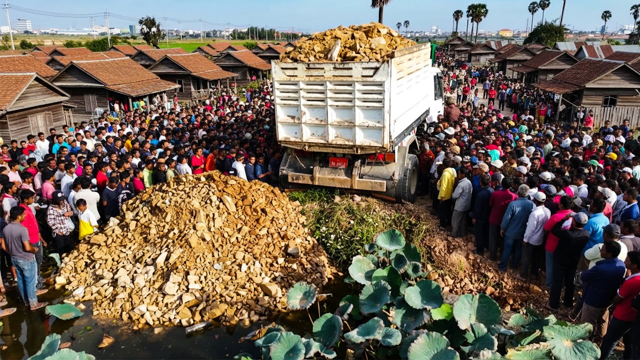 wonderful skill bulldozer pushing and filling land with dump trucks with huge land
