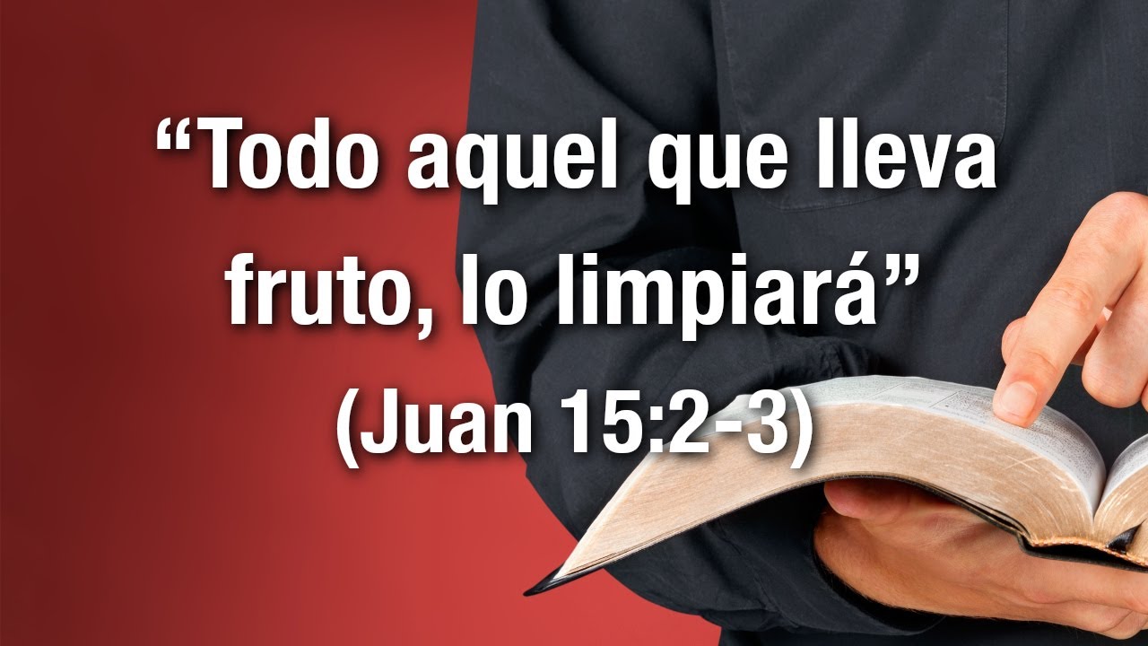 Todo aquel que lleva fruto, lo limpiará (Juan 15:2-3)
