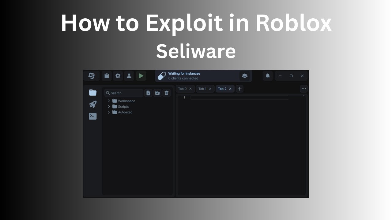 How to Exploit in Roblox 2025 | Seliware