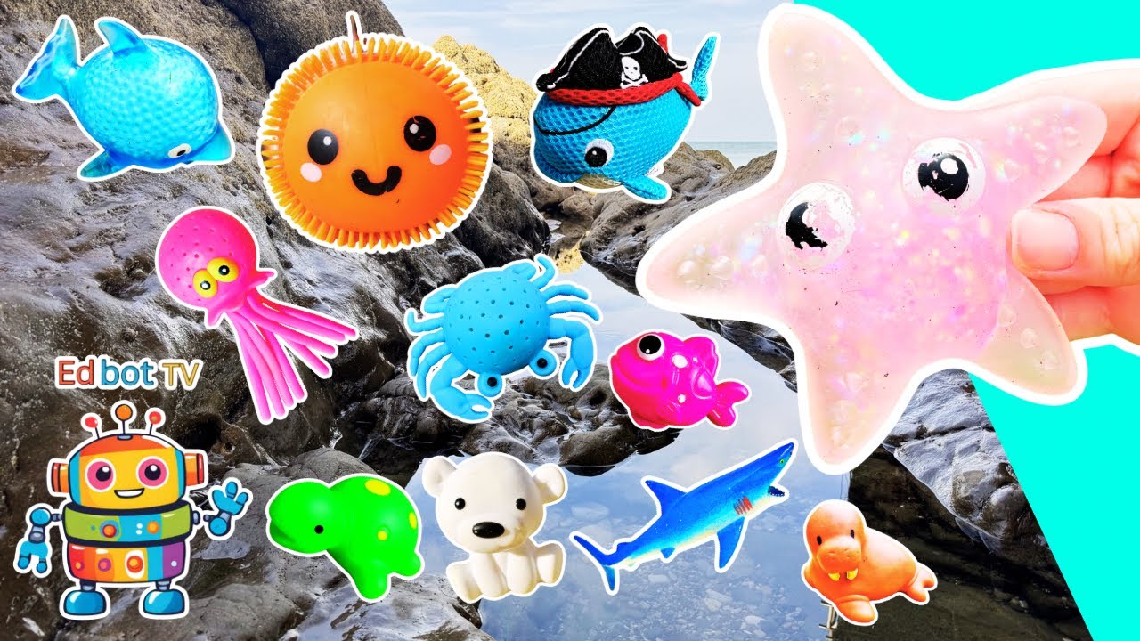 Kids Learn at the Rock Pool | Sea Animal Names: Starfish Blue Shark Crab Turtle Clownfish Fish Whale