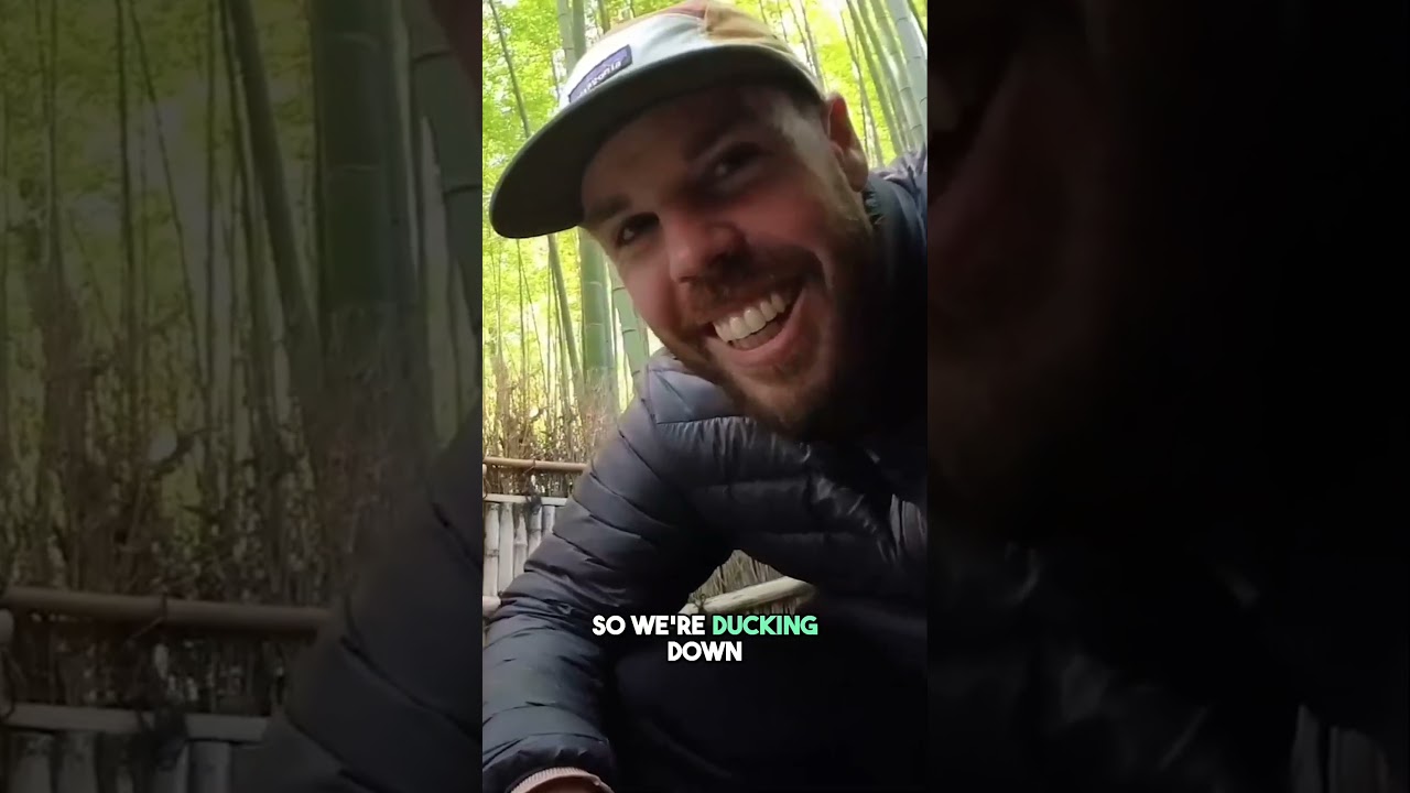 Discover the Hidden Bamboo Garden  Perfect Photo Spots