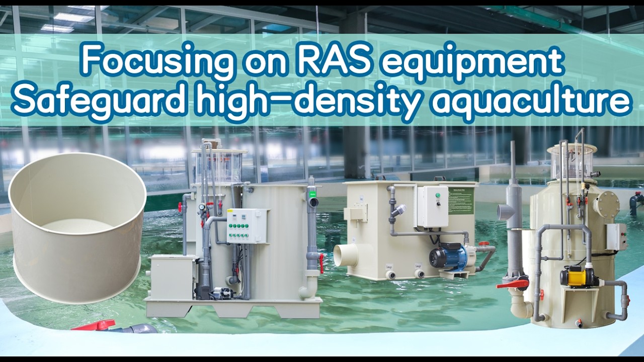 Specialising in Recirculating Aquaculture Systems · Safeguarding High-Density Fish Farming