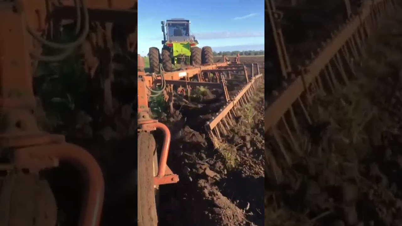 arando con zanello 500     #mundofierros #agricultura #maquinasagricolas #agriculture #tractor