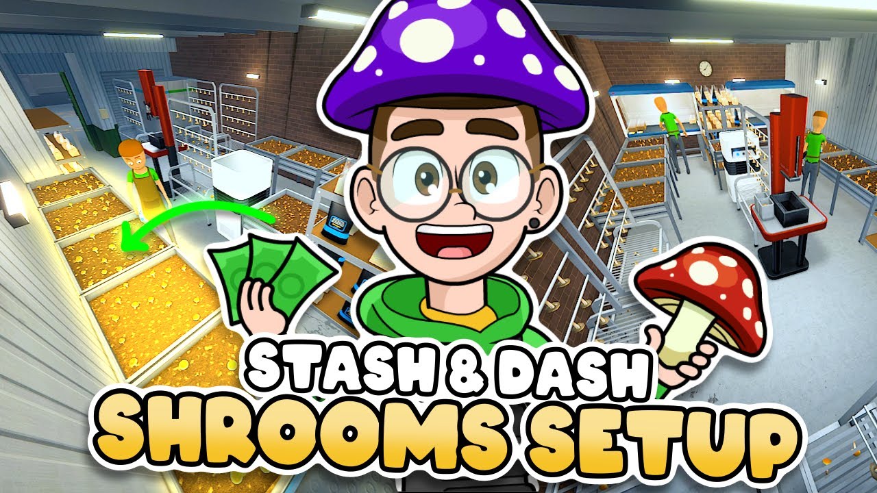 Ultimate Shrooms Setup in Stash & Dash 🍄 | Schedule 1