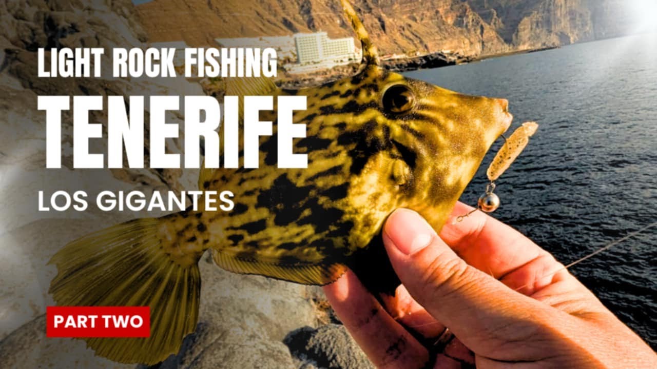 Light Rock Fishing in Tenerife - Los Gigantes (Part Two)