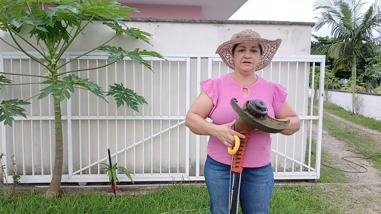 Novidade no quintal  Plantas  novas e limpeza no quintal 