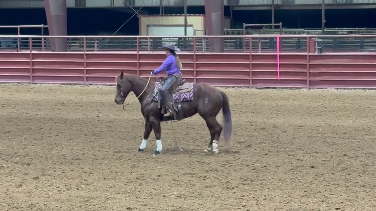 Ashdan James Young, Class of '28- Region X Performance 8 Cow Horse Reining