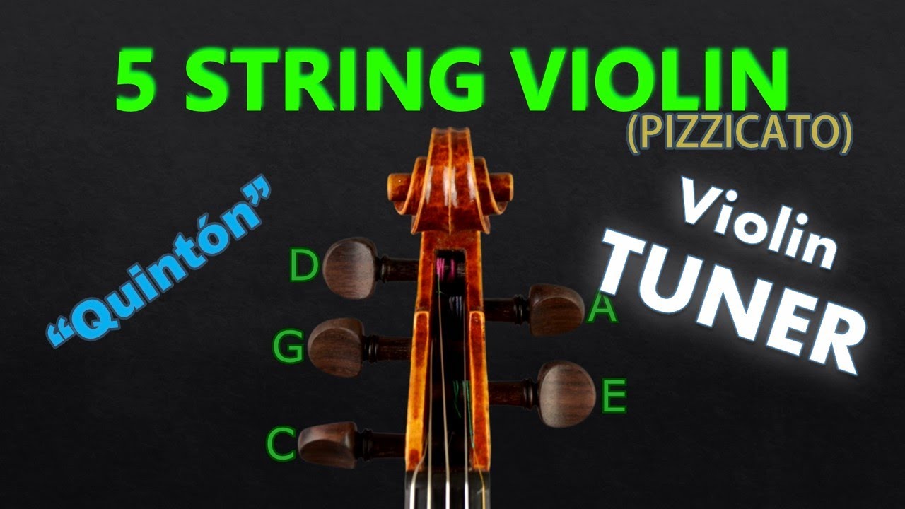 5-String Violin Tuning - Five String Violin Tuner (Pizzicato) (A=440)